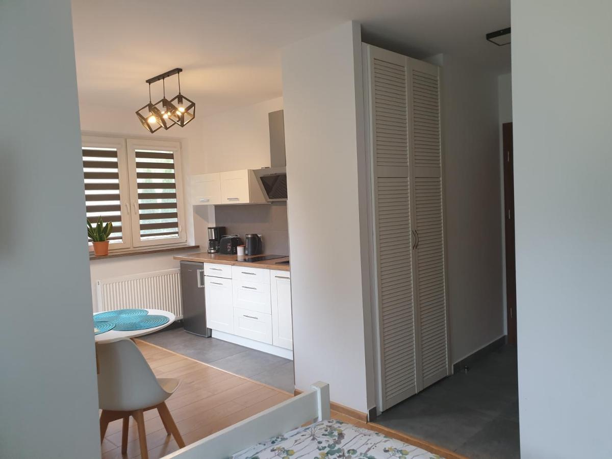Villa Mila Apartamenty Karpacz Esterno foto