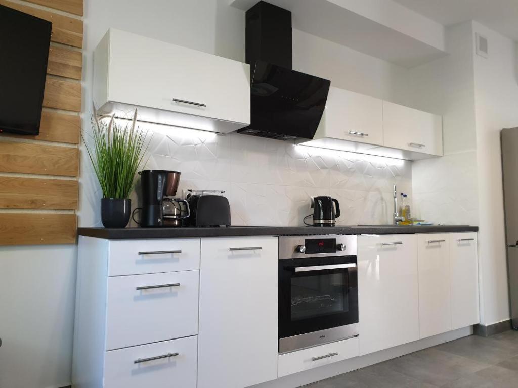 Villa Mila Apartamenty Karpacz Esterno foto