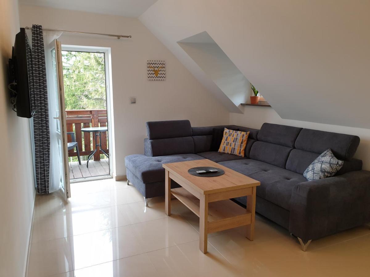 Villa Mila Apartamenty Karpacz Esterno foto